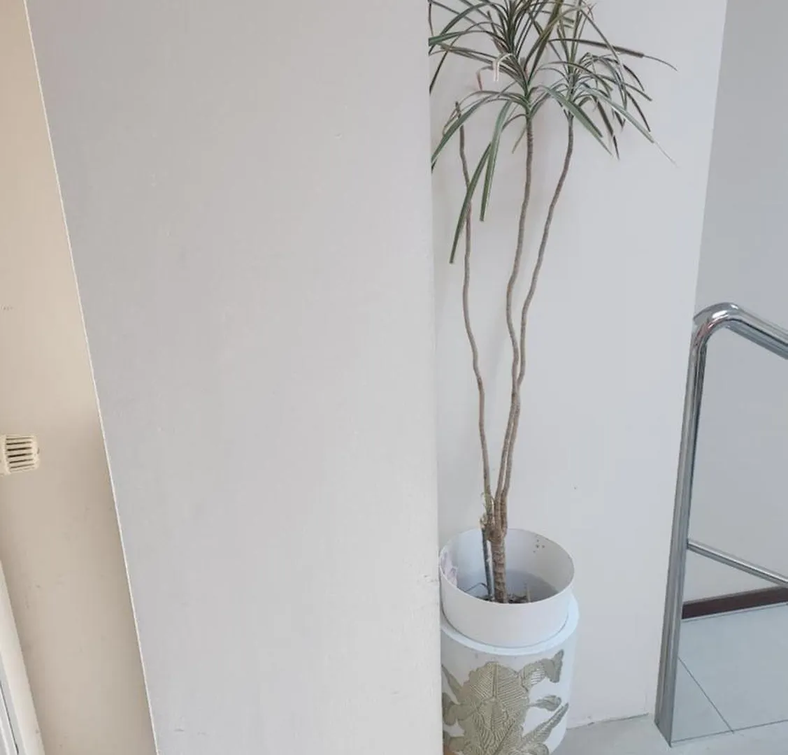Bed & Breakfast Villa Pallas Gdansk