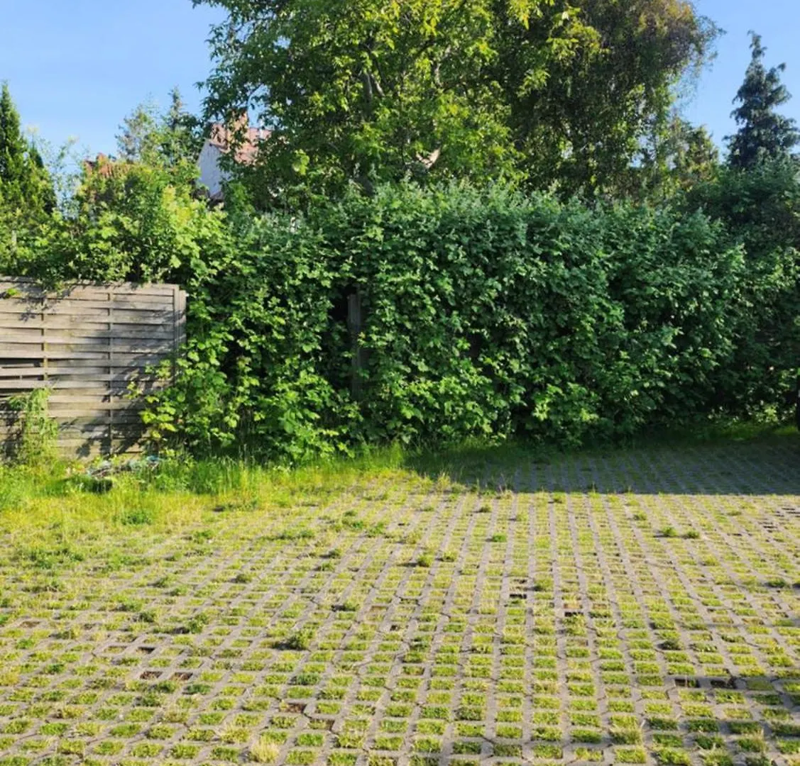 Villa Pallas Gdansk