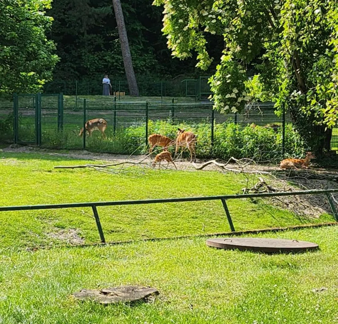 Villa Pallas Gdansk Bed & Breakfast