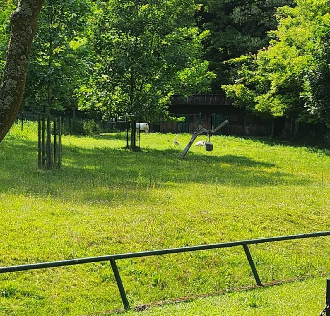 *** Bed & Breakfast Villa Pallas Gdansk Poland